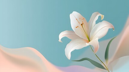 Fototapeta premium Beautiful white lily blooms against a soft, abstract background of blue and peach tones