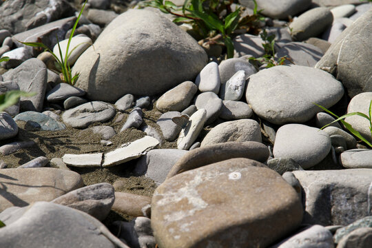A collection of smooth, wet river pebbles and rocks is captured in a shallow stream bed. The natural arrangement of stones provides a rich, organic background texture in the water.