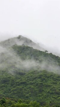 Dense fog descends upon green mountain valley as raindrops fall softly creating a mystical and soothing view. Mountain mist.