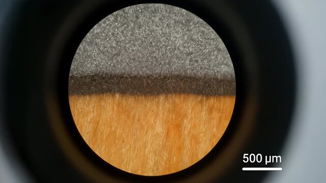 Metallic coating on wood cross section microscope inspection for industry manufacturing quality control of fiber coating interface and layer study