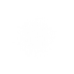 Subtle White Grain Dust Texture Overlay