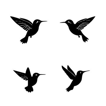 Four Stylized Hummingbird Icons: Elegant Black Sil