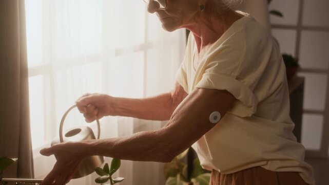 Backlit medium close-up of elderly Caucasian lady, dressed in short sleeve blouse with diabetic sensor patch on upper arm, watering green potted plants at home, against bright light from window