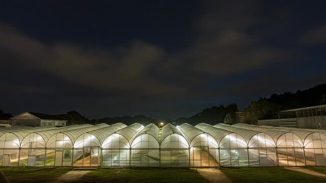 Invernaderos iluminados por la noche bajo un cielo oscuro y nublado, mostrando la agricultura moderna.