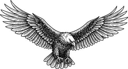 Black silhouette of a majestic eagle with wings spread wide soaring in flight