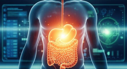 Anatomical visualization of the human digestive system with glowing internal organs and digital interface illustration