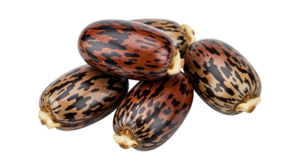 Pile Of Castor Beans With Brown Black And Red Spotted Shells isolated on Transparent Background