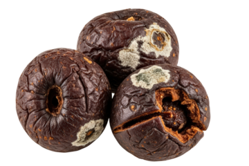 Three Rotten Apples with Mold and Decay Isolated on Transparent Background