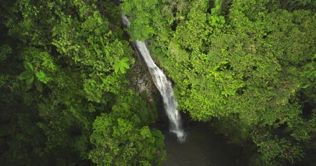 Fiji, Nadi Waterfall: Breathtaking aerial view pristine waterfall cascading through vibrant green rainforest canopy, embodying nature's tranquility. Wild nature landscape. Drone flight footage zoom in - Powered by Adobe