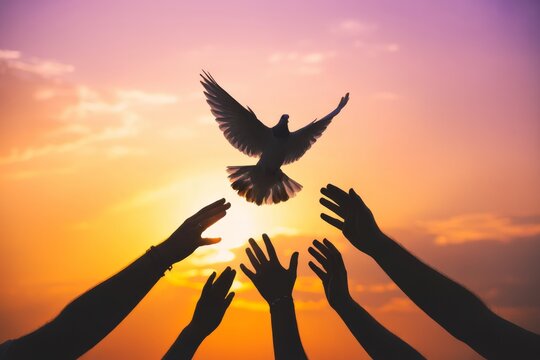 Silhouette hands releasing a dove against a sunset sky