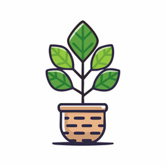 Potted Plant with Green Leaves in a Woven Basket.