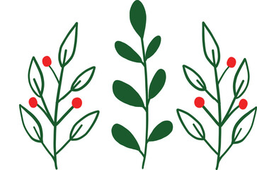 Christmas holly leaves and red berries vector illustration, Floral wreath and berry branch vector illustration