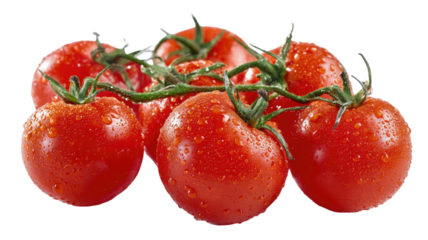 Fresh ripe red tomatoes on vine covered with water droplets showing vibrant color and natural juicy texture isolated on white background