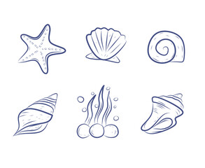 Set of hand-drawn sea elements in doodle style, featuring shells, starfish, and seaweed. Perfect for ocean-themed designs, kids coloring books, and summer decoration projects.