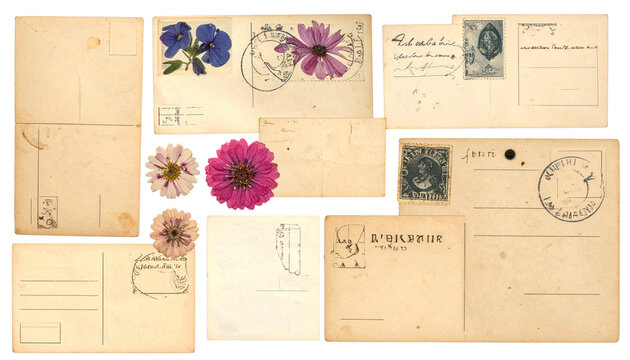 Collage of Antique Postcards, Stamps, Pressed Flowers, and Handwritten Notes Isolated