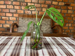Rustic Wooden Furniture With Green Plant Decoration Against Brick Wall Interior