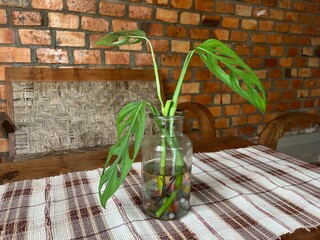 Rustic Wooden Furniture With Green Plant Decoration Against Brick Wall Interior