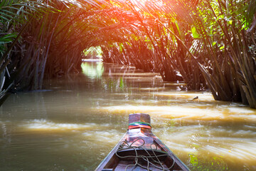 Boat to float cross the Nypa Palm tree. Tunnel with sunlight background of Nipa palm forest along canal in Saratthani province ,Thailand.