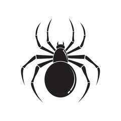 spider insect flat icon vector
