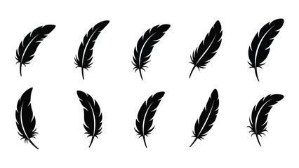 Black feather silhouettes set isolated on white background, Vector © Rian