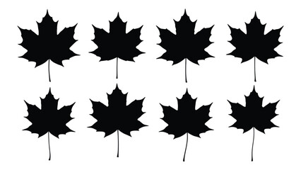 Maple leaf silhouettes pattern isolated on white background, Vector