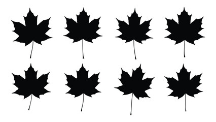 Maple leaf silhouettes isolated on white background, Vector