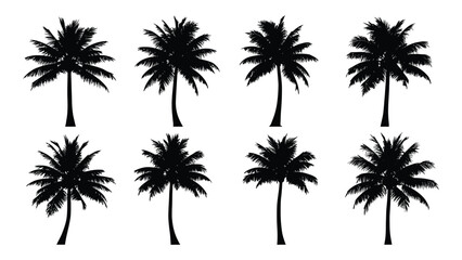 Palm tree silhouettes collection isolated on white background, Vector