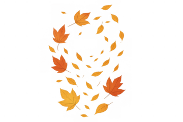 Autumn maple leaves falling and scattering, a seasonal change bringing warmth and natural beauty, transparent background