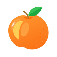 orange vector illustration