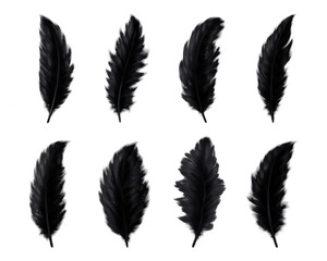 White feather bird isolated pen with graceful purity and mystic glow, symbolic clip art of peace and imagination with handwriting, isolated, grace