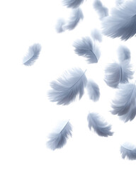 Obraz premium White feather bird isolated pen with graceful purity and mystic glow, symbolic clip art of peace and imagination with individual, invitation, dream