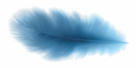 Graceful white feather bird isolated pen clip art, pure literature symbol of peace, purity, and mystic tenderness with personal, mystery, individual