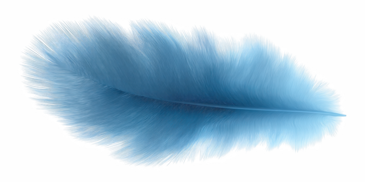 Graceful white feather bird isolated pen clip art, pure literature symbol of peace, purity, and mystic tenderness with personal, mystery, individual