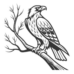 An eagle perched on a bare branch, showcasing its majestic presence and intricate feather details