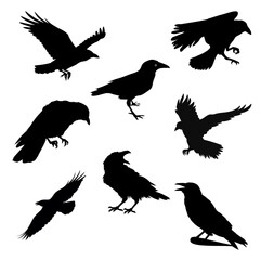 “Crow icons collection showing black bird silhouettes, flying, perched, and minimal crow symbols for wildlife designs.”