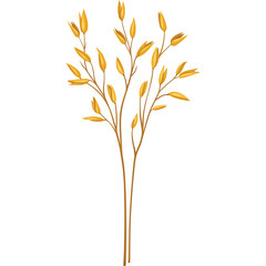 Golden Wheat Stalk With Multiple Seed Heads Against A Clean White Background With Transparent Background