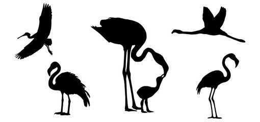 Flamingo and Water Birds Silhouette Set