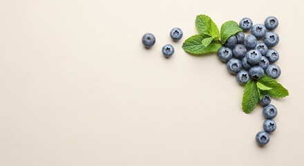 A top view of blueberries and mint leaves arranged on a plain background with copy space on the left