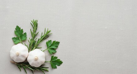 Two garlic bulbs with fresh parsley and rosemary sprigs on a textured light gray background surface