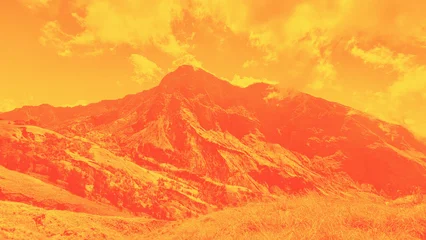 Selbstklebende Fototapeten Coral Building landscape for web design, presence, wallpaper, background, advertising, promotion, and office work   © Sy