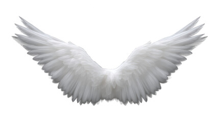 Obraz premium Isolated white feather bird pen illustration with ornate fantasy touch, magical drawing of perfection and spirituality with fairy, magical, ethnic