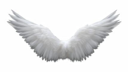 Isolated white feather bird pen illustration with ornate fantasy touch, magical drawing of perfection and spirituality with fairy, magical, ethnic