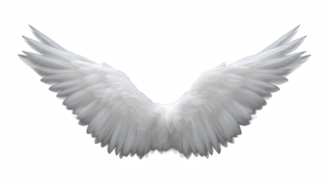 Isolated white feather bird pen illustration with ornate fantasy touch, magical drawing of perfection and spirituality with fairy, magical, ethnic