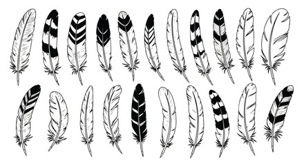 Feathers Monochrome Illustration Vector, Black and White Drawing