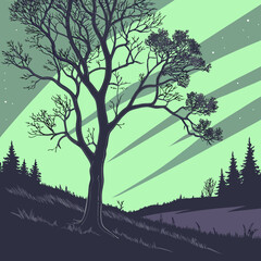 Obraz premium A lone tree stands silhouetted against a vibrant green sky, with stars and aurora borealis in the background