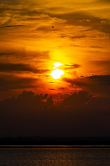 Fototapeta premium colorful and golden sunset sunrise yellow orange in Amazonas Brazil.