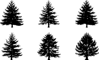 Fototapeta premium set of trees