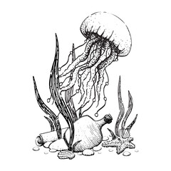 A graphic ink illustration underwater seaweed, jellyfish and scroll with a pirate bottle. Isolated drawing in a childish style is hand drawn. For coloring books and wrapping paper in a nautical theme.