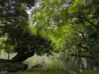 霞ヶ池（松風閣（しょうふうかく）庭園）