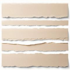 High‑resolution aesthetic torn paper scrap texture with natural edges, soft shadows, and realistic handcrafted details for creative design use (scrap (21))